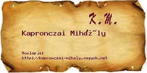 Kapronczai Mihály névjegykártya