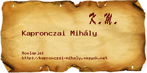 Kapronczai Mihály névjegykártya